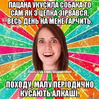 пацана укусила собака то сам як з цепка зірвався, весь день на мене гарчить. походу, малу періодично кусають алкаші.