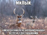 милый, у меня возникла незапланированная встреча с поставщиками