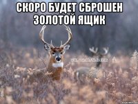 СКОРО БУДЕТ СБРОШЕН ЗОЛОТОЙ ЯЩИК 