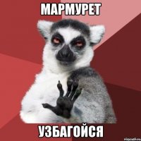 мармурет узбагойся