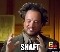  SHAFT