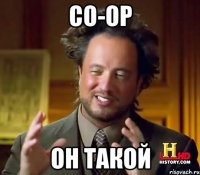 Co-op он такой