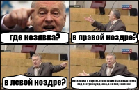 где козявка? в правой ноздре? в левой ноздре? насколько я помню, территория была выделена под постройку здания, а не под козявки!