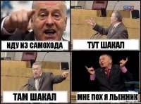 иду из самохода тут шакал там шакал мне пох я лыжник