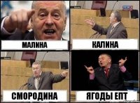 Малина Калина Смородина Ягоды епт