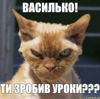 Василько! Ти зробив уроки???