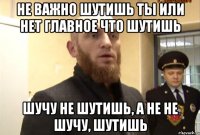 Не важно шутишь ты или нет главное что шутишь Шучу не шутишь, а не не шучу, Шутишь