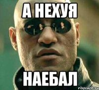 А НЕХУЯ НАЕБАЛ