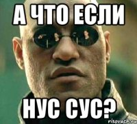 А что если нус сус?