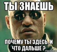 Ты знаешь почему ты здесь, и что дальше ?