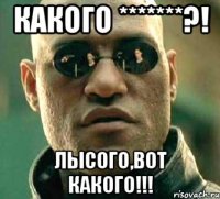 КАКОГО *******?! ЛЫСОГО,вот какого!!!