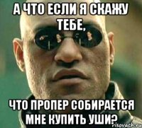 А что если я скажу тебе, что Пропер собирается мне купить уши?