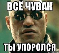 Всё чувак Ты упоролся