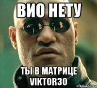 Вио нету Ты в матрице Viktor30