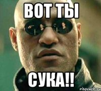 вот ты СУКА!!