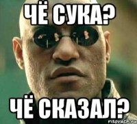 Чё сука? чё сказал?