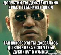 Допустим ты действительно ирка, и тебе нужен ключ Так какого хуя ты доебалась до ключника если у тебя дубликат в сумке?