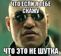 Что если я тебе скажу Что это не шутка