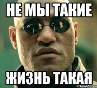 Не мы такие жизнь такая