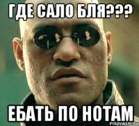 где сало бля??? ебать по нотам