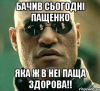 Бачив сьогодні ПАЩЕНКО яка ж в неі ПАЩА здорова!!