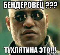 БЕНДЕРОВЕЦ ??? тухлятина это!!!