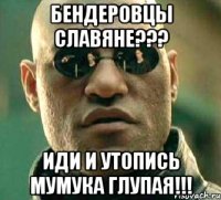 бендеровцы Славяне??? иди и утопись мумука глупая!!!