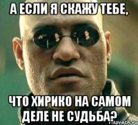 А если я скажу тебе, что Хирико на самом деле не Судьба?