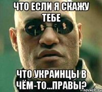 Что если я скажу тебе что украинцы в чём-то...правы?