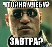 что?на учебу? завтра?