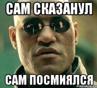 сам сказанул сам посмиялся