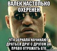 Валек настолько охеренен что зеркала начинают драться друг с другом за право отражать его