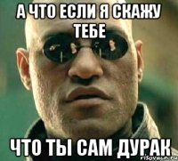 а что если я скажу тебе что ты сам дурак