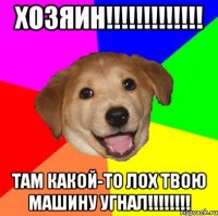 Хозяин!!!!!!!!!!!!! Там какой-то лох твою машину угнал!!!!!!!!