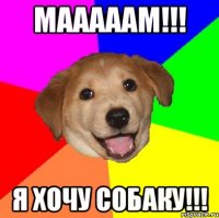 Мааааам!!! Я хочу собаку!!!