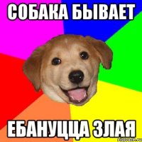 Собака бывает Ебануцца злая