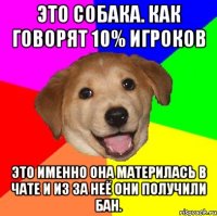 Это собака. Как говорят 10% игроков Это именно она материлась в чате и из за неё они получили бан.