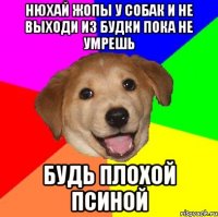 Нюхай жопы у собак и не выходи из будки пока не умрешь будь плохой псиной