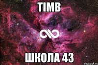 TIMB школа 43