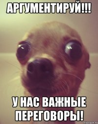 АРГУМЕНТИРУЙ!!! У нас важные переговоры!