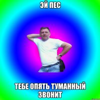 эй пес тебе опять туманный звонит