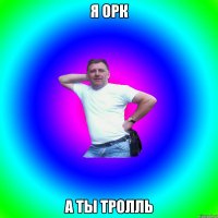 я орк а ты тролль