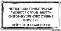 черты лица теряют форму рыхлятся органы внутри снеговику хреново очень в плюс три. Лейтенант Неадекват©