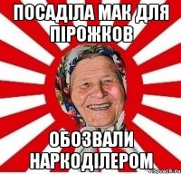 посаділа мак для пірожков обозвали наркоділером