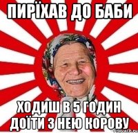 пирїхав до баби ходиш в 5 годин доїти з нею корову