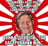 У знайомих кота звуть Каструлька. На моє здивоване "Чому?" вони відповіли: "Так кастрований же...".