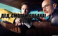 ДЕД, СМОТРИ, СОБАКА! ЛОЛ