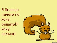 Я белка,я ничего не хочу решать!Я хочу кальян!