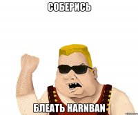 соберись блеать HarNbaN