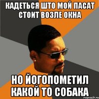 Кадеться што мой пасат стоит возле окна Но йогопометил какой то собака